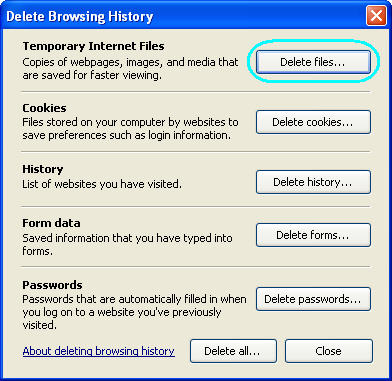 IE7 Delete Browsing History
